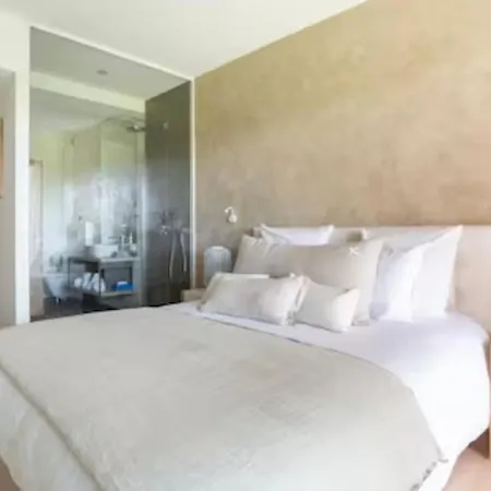 Stunning With Pool - Gulf Of St Tropez Sainte-Maxime